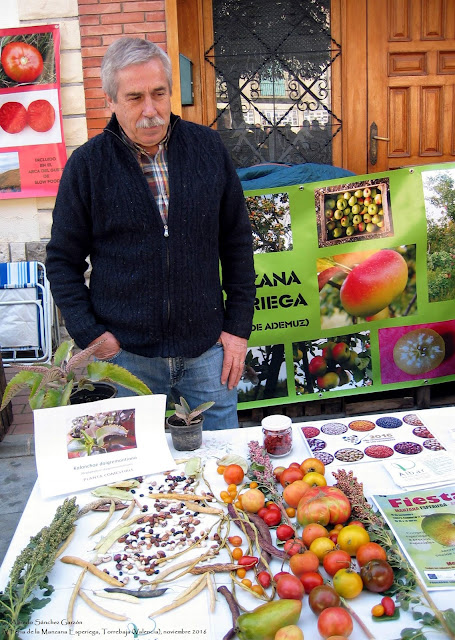 iv-feria-manzana-esperiega-torrebaja-2016-slow-food