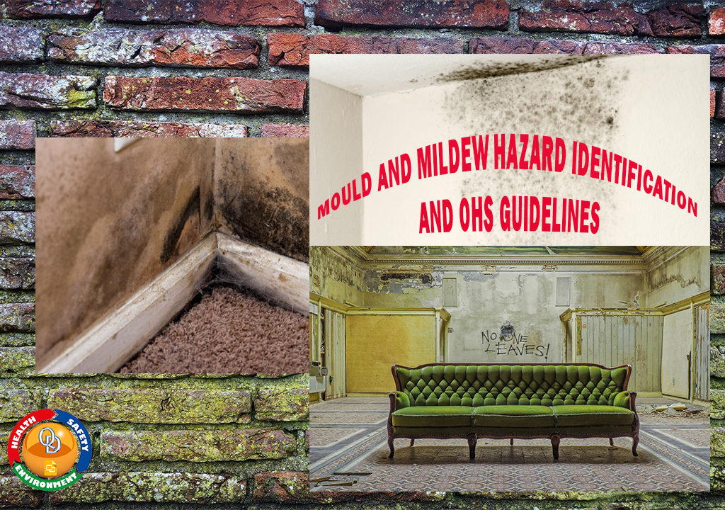 MOULD AND MILDEW HAZARD IDENTIFICATION AND OHS GUIDELINES TOOLBOX TALKS