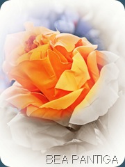 FLOR