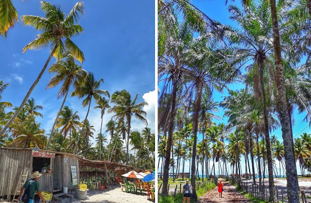 Praia da Cueira, Boipeba