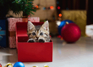 Will You Be Getting a Pet for Christmas?