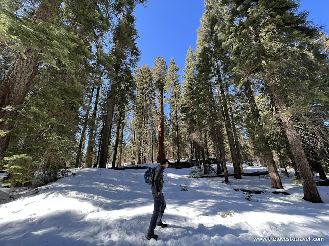 Baby-friendly and Easy Hiking Trails in Sequoia National Park