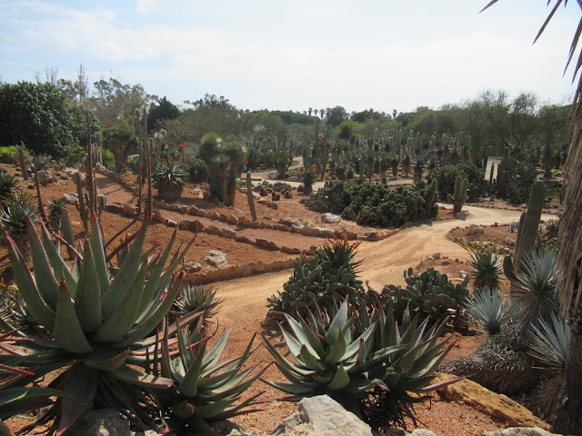 Botanicactus Botanischer Garten Mallorca