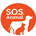 "SOS Animal" de volta à SIC