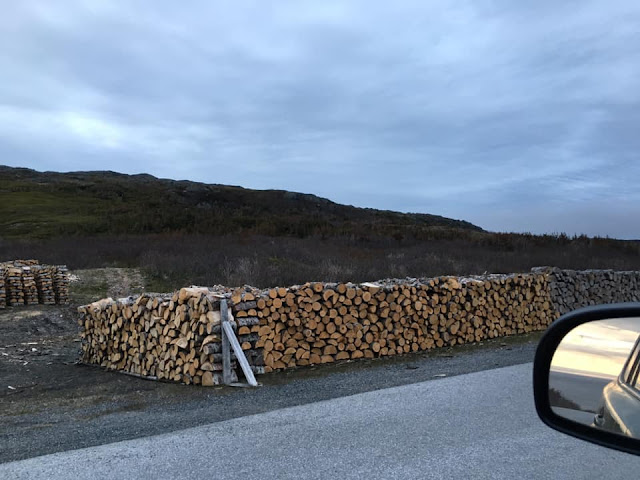 Newfoundland, tiny trailer camping, icebergs, woodstoves