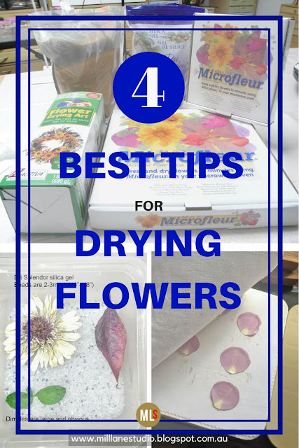 4 best tips for drying flowers inspiration sheet