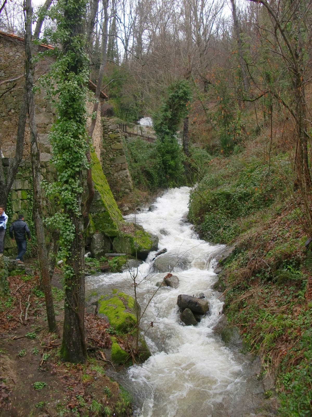 PLANTABOSQUES  El fin de semana pasado (14-16 de febrero) continuamos con nuestro programa de voluntariado ambiental "Plantabosques, en el entorno de La Garganta, en el Valle del Ambroz. Se ocuparon las 70 plazas ofertadas para voluntarios y plantamos 2.128 castaños. También hicimos una visita guiada a Baños de Montemayor. El martes día 18 estaremos en Trujillo realizando la actividad solicitada por el Ayuntamiento de esta ciudad y un instituto de educación secundaria. El próximo fin de semana, del 21 al 23 de febrero, estaremos en Sierra Fría (Valencia de Alcántara), concretamente en una zona cercana a la población de Jola.