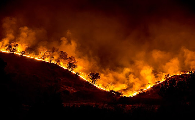 https://commons.wikimedia.org/wiki/File:Woolsey_Fire_-_tree_ridge_in_flames_20181119-PB-008.jpg