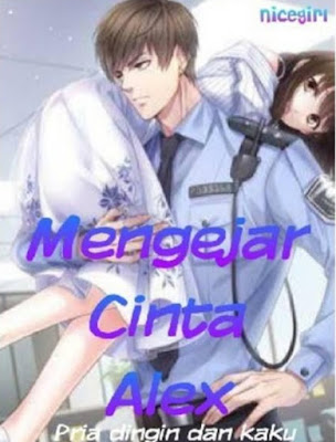 Novel Mengejar Cinta Alex Karya Nicegirl Full Episode