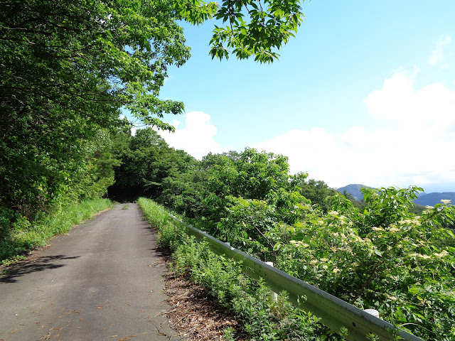 鎌倉山グリーンライン