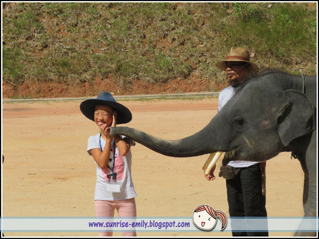 All about Elephants @ Kenyir Elephant Village, Terengganu