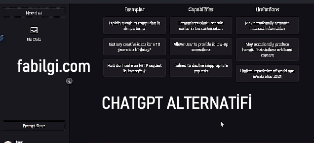 ChatGPT Alternatifi Açılmama Sorunu Çözümü Baichat Tanıtım