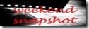 WS2