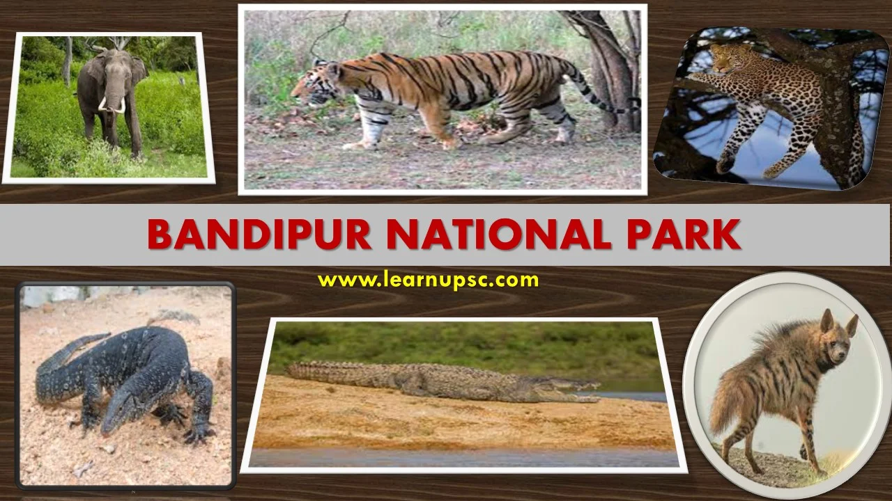 Bandipur National Park