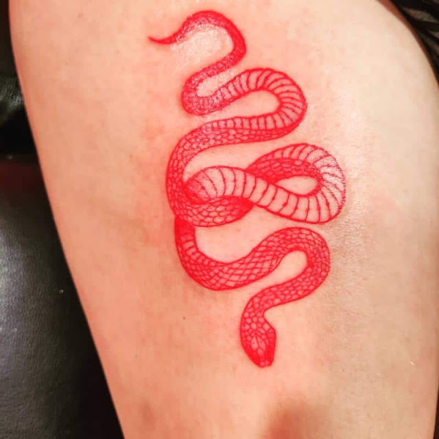 20 lindas tatuagens de cobras para as mulheres