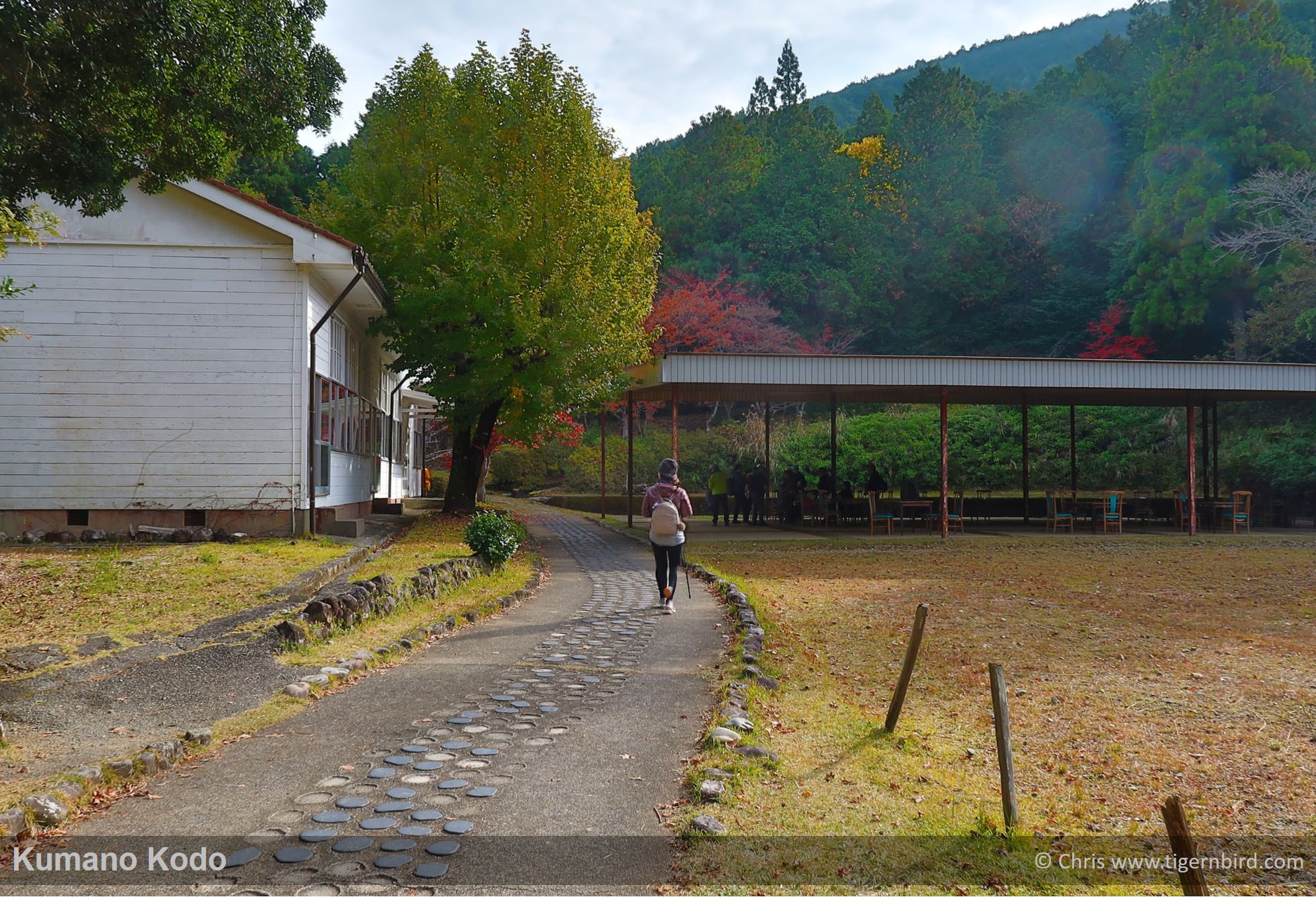 Hiker along stone Kumano Kodo path in autumn colored field