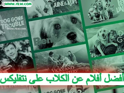 أفضل 7 أفلام عن الكلاب على نتفليكس عليك مشاهدتها-afdal-aflam-kilab-netflix-best-dog-movies