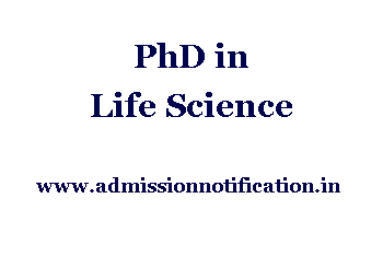 PhD in Life Science Synopsis, thesis and paper writing service