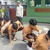 Satpol PP Kota Padang Jaring 12 Pelajar