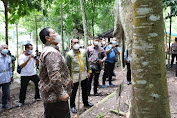 Gubernur Arinal Launching Pusat Inkubasi Tanaman Nusantara di Tahura Wan Abdul Rachman