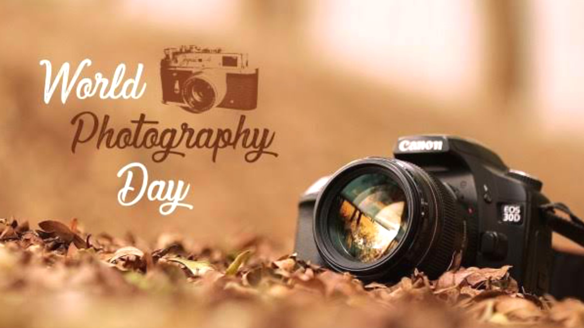 Celebrating World Photography Day: Capturing the Essence of Life Through Lenses