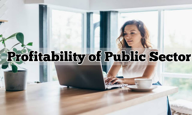 Profitability of Public Sector