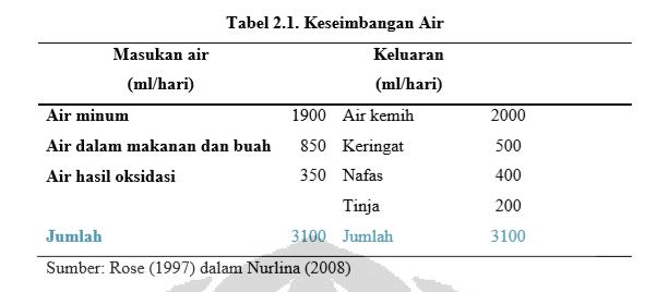 Asuhan Keperawatan Urolithiasis Nanda Nic Noc Terbaru