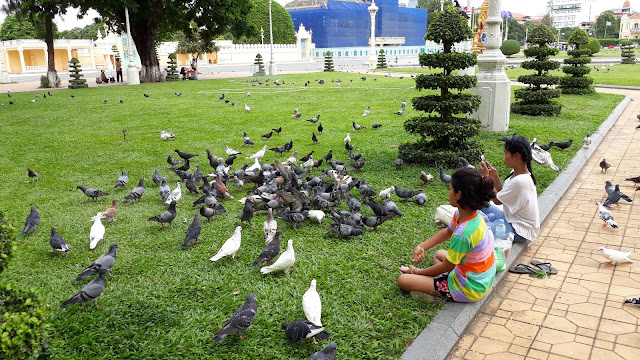 The Royal Palace Garden of Cambodia