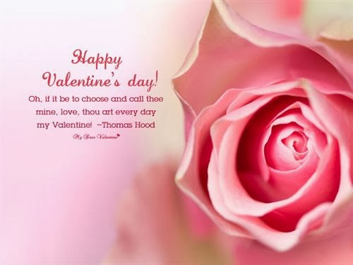 Best Funny Valentine's Day Quotes 2014