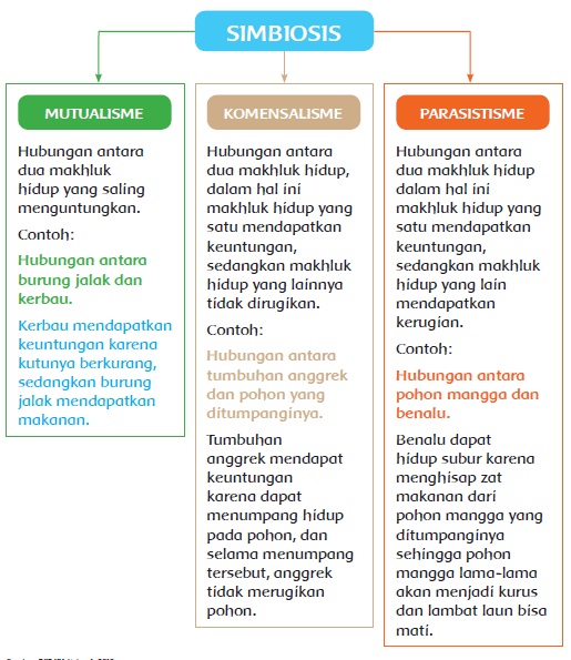 kelas 5 tema 5