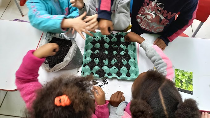 Metrosul distribui mais de cinco mil sementes com o Horta na Escola