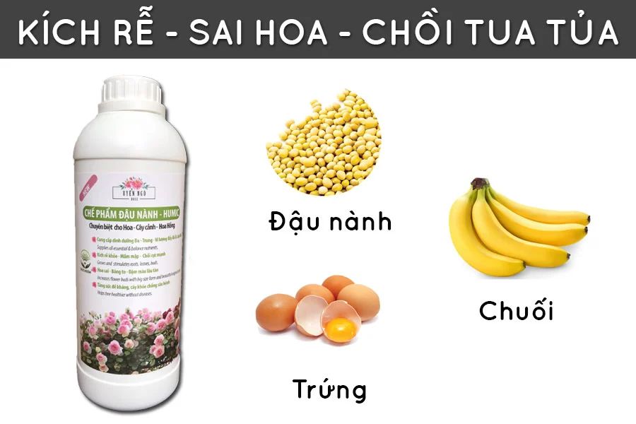 Phân bón đậu tương Humic kích rễ, mọc chồi