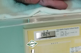 新生児の体重計