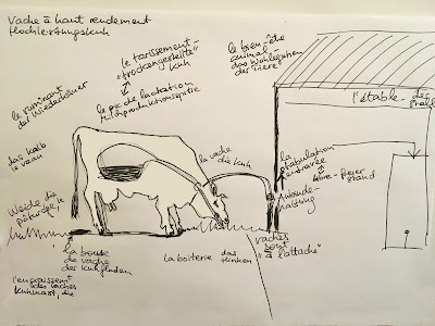 Tiervokabular, gezeichnete Kuh und Stall