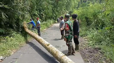 TNI Bersama Warga Kerja Bakti Pemotongan Pohon Kelapa Demi Keamanan Pengguna Jalan