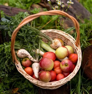 The Power of Underground and Above-Ground Foods