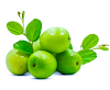 Benefits of jujube