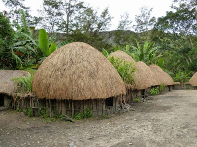  Indonesia mempunyai banyak banyak adab istiadat yang turun temurun dari nenek moyang Macam Macam Rumah Adat Yang Ada Di Pulau Papua