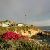 California Dreamin’