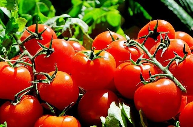 Tomatoes 105 : Nutrition Facts, Health Benefits And Side Effect