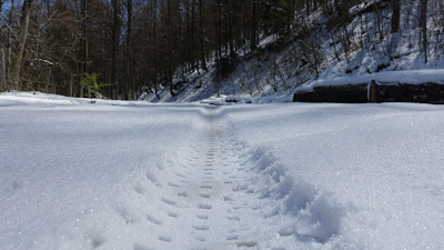 Fattie-Spur im Schnee bei der Hinteregg