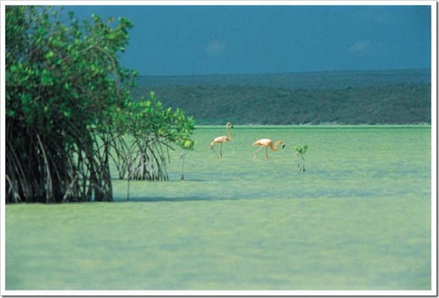 Parque nacional Isla Cabritos