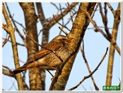 20140401_161300_040_RenYe