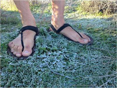 El frio no se nota corriendo, pero da un poco de cosa salir así en invierno