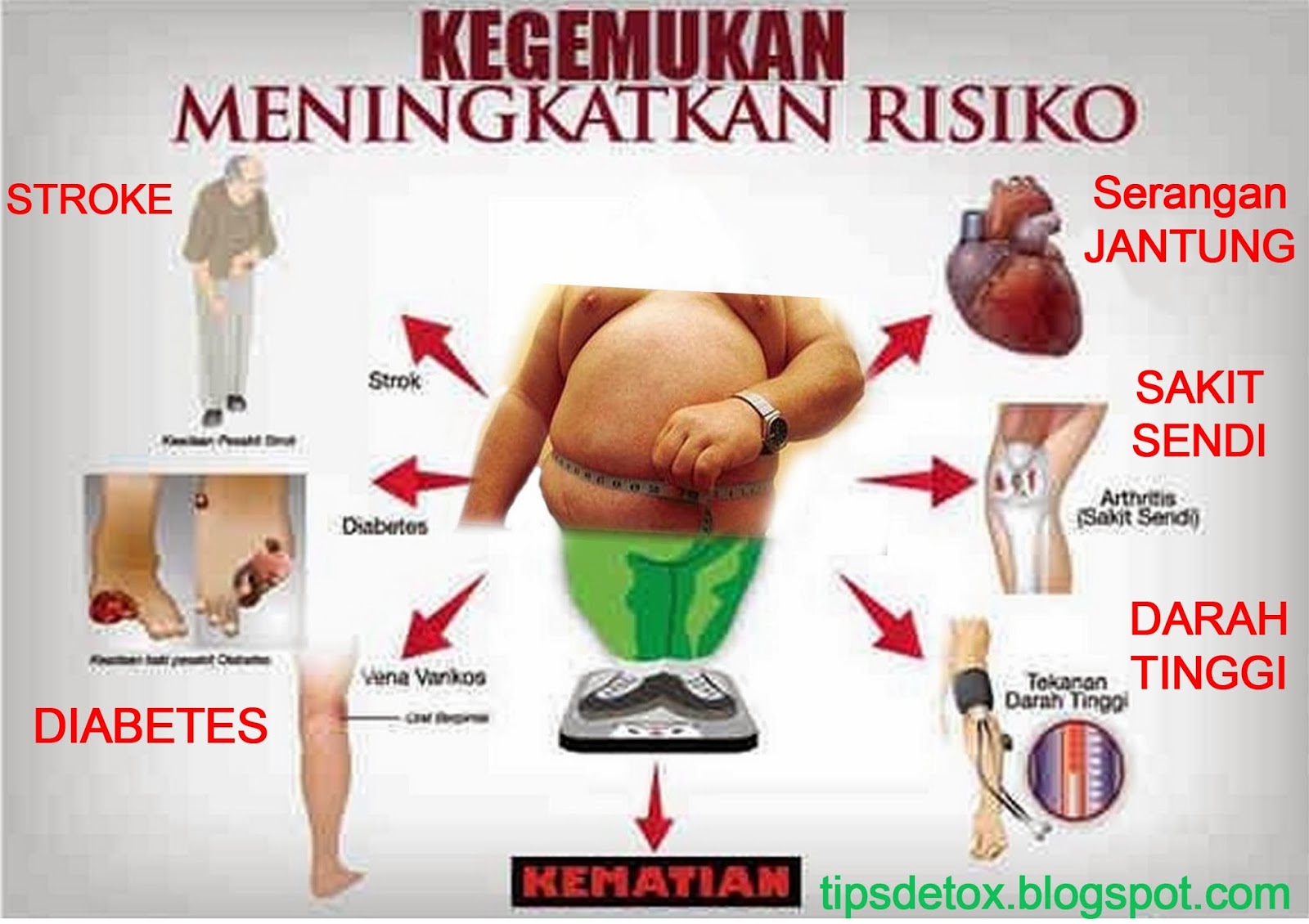 Tips Detox Tips Detox Untuk Diet Menurunkan Berat Badan 