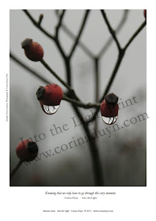 photo of raindrops under rosebuds, page from Into the Light by Corina Duyn