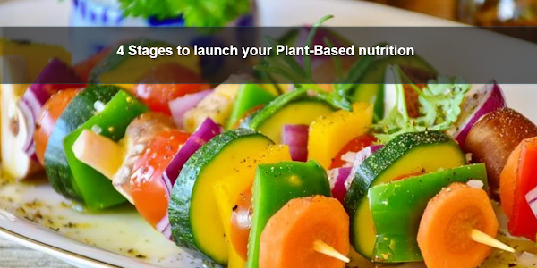 4 stages to launch your plant-based nutrition