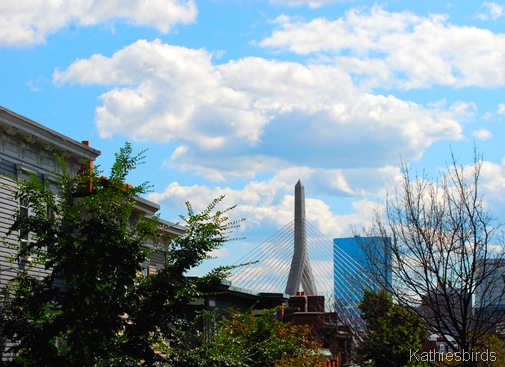 10. Zakim bridge-kab