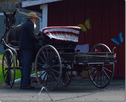 1amish