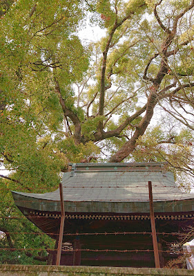 澤田八幡神社(藤井寺市)